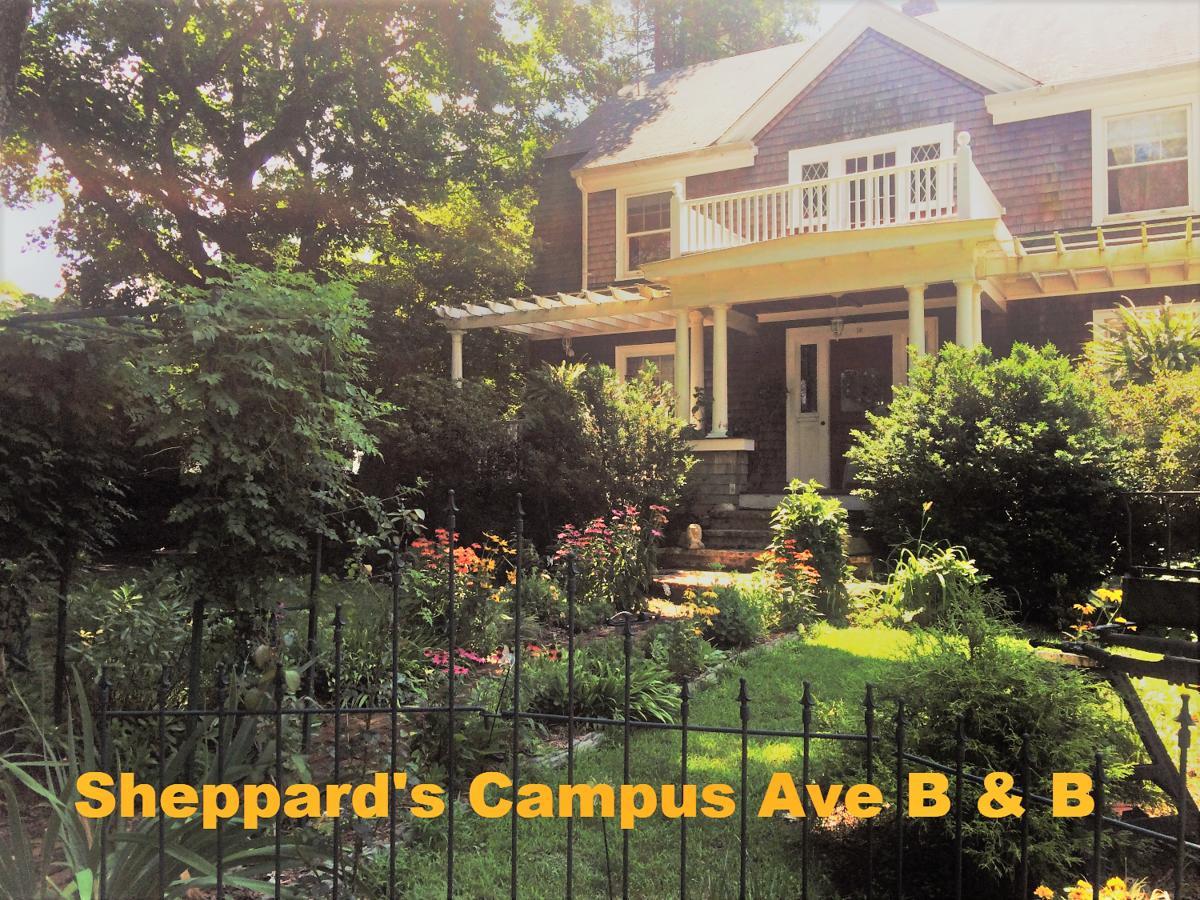 Sheppard'S Campus B&B Kingston Exteriör bild